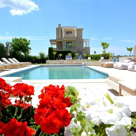 Niovi Boutique Apartments Afytos Dış mekan fotoğraf