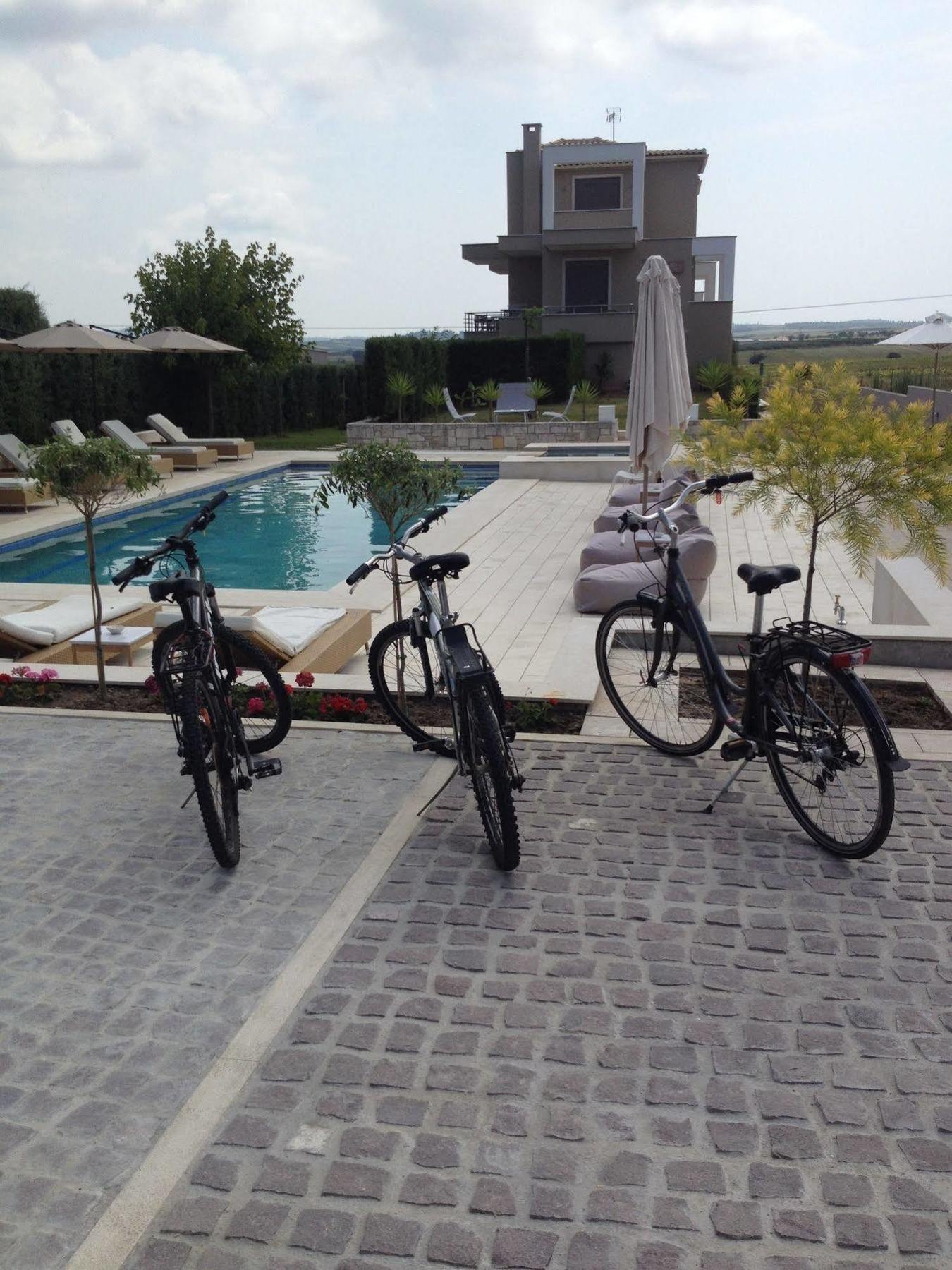 Niovi Boutique Apartments Afytos Dış mekan fotoğraf