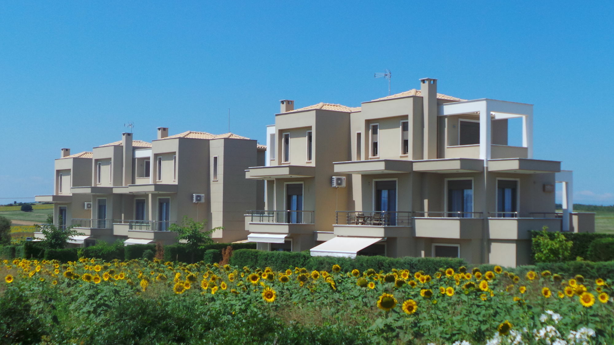 Niovi Boutique Apartments Afytos Dış mekan fotoğraf